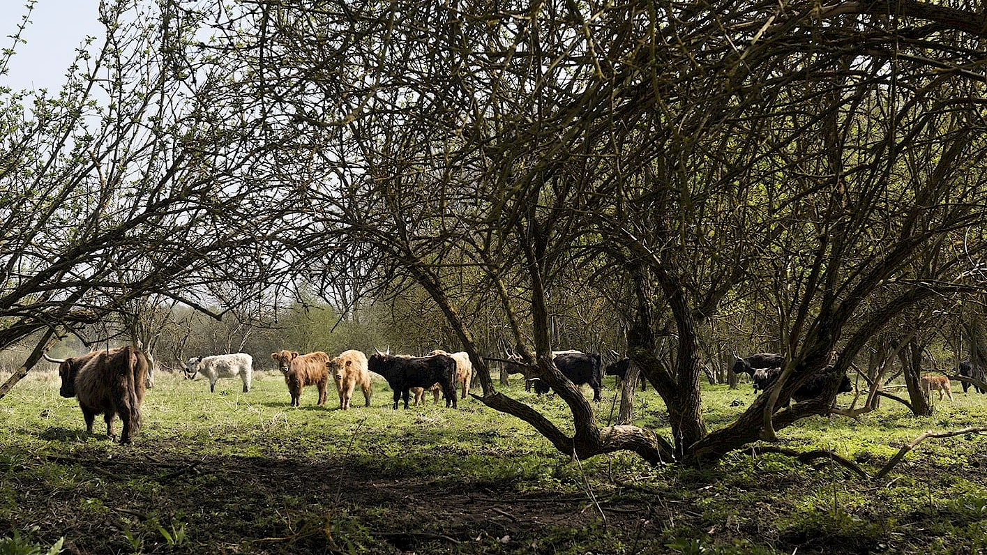 Sielmann-Stiftung baut neues Erlebniszentrum in der D&ouml;beritzer Heide