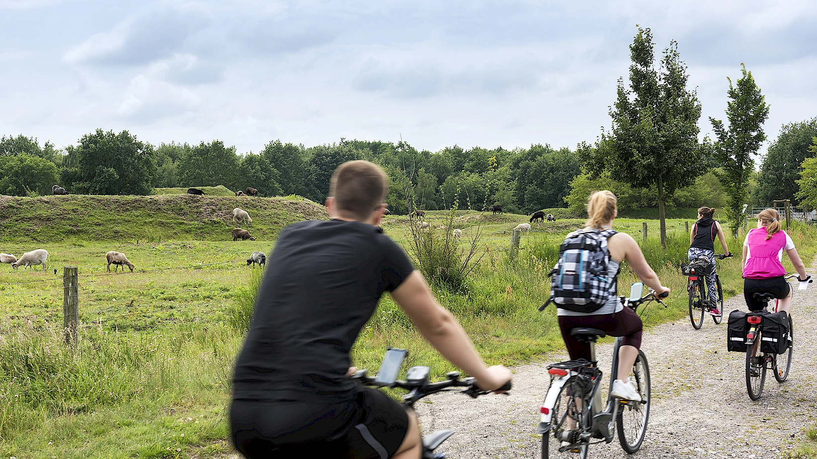 Touren auf gro&szlig;en Sport-Spuren: Olympisches Dorf in Elstal und D&ouml;beritzer Heide