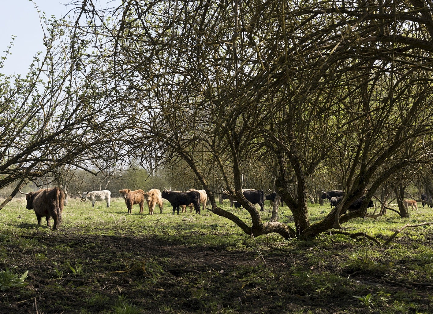 Sielmann-Stiftung baut neues Erlebniszentrum in der Döberitzer Heide