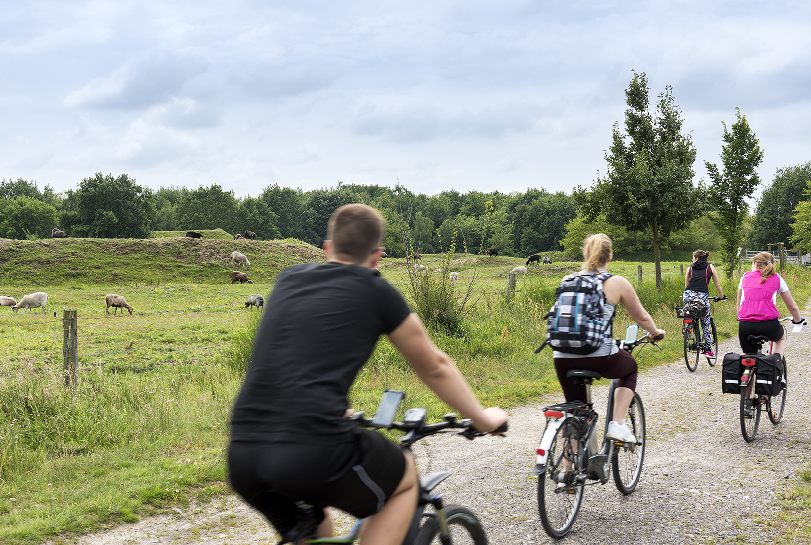 Touren auf großen Sport-Spuren: Olympisches Dorf in Elstal und Döberitzer Heide
